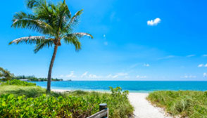 Blauer Himmel, türkises mehr und Palme am Strand